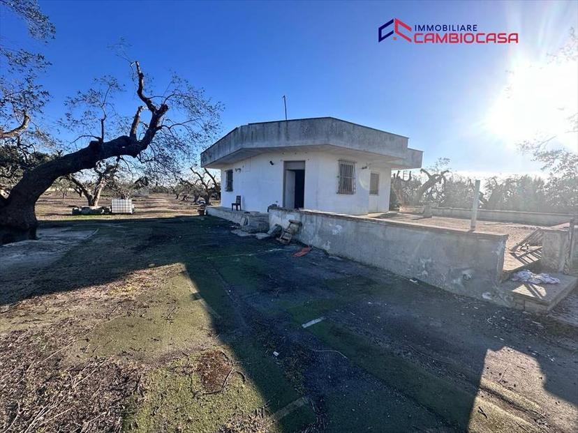 Vendita villa singola via arcivescovo motolese San Marzano di San Giuseppe (TA) — foto 8 di 11