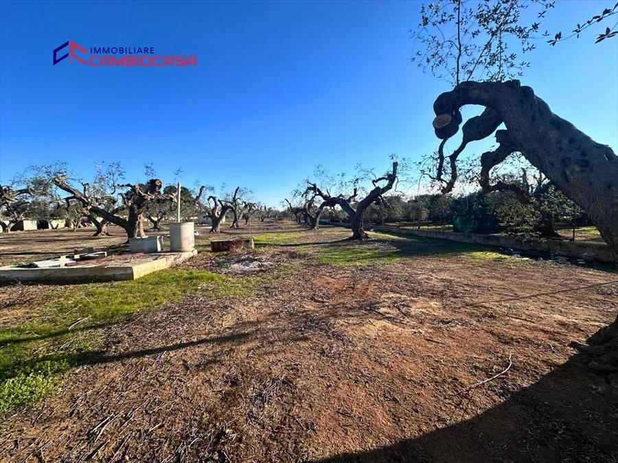 Vendita villa singola via arcivescovo motolese San Marzano di San Giuseppe (TA)