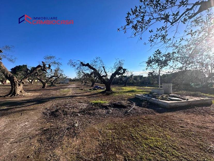 Vendita villa singola via arcivescovo motolese San Marzano di San Giuseppe (TA) — foto 6 di 11