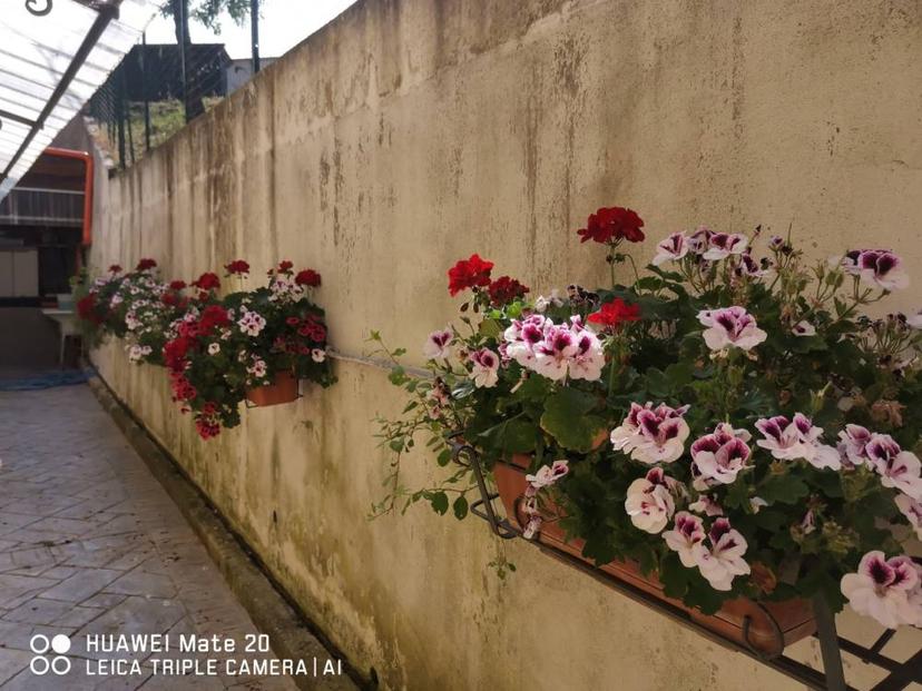 Vendita Casa Bi/Trifamiliare SP72 15 Farindola (PE) — foto 6 di 14