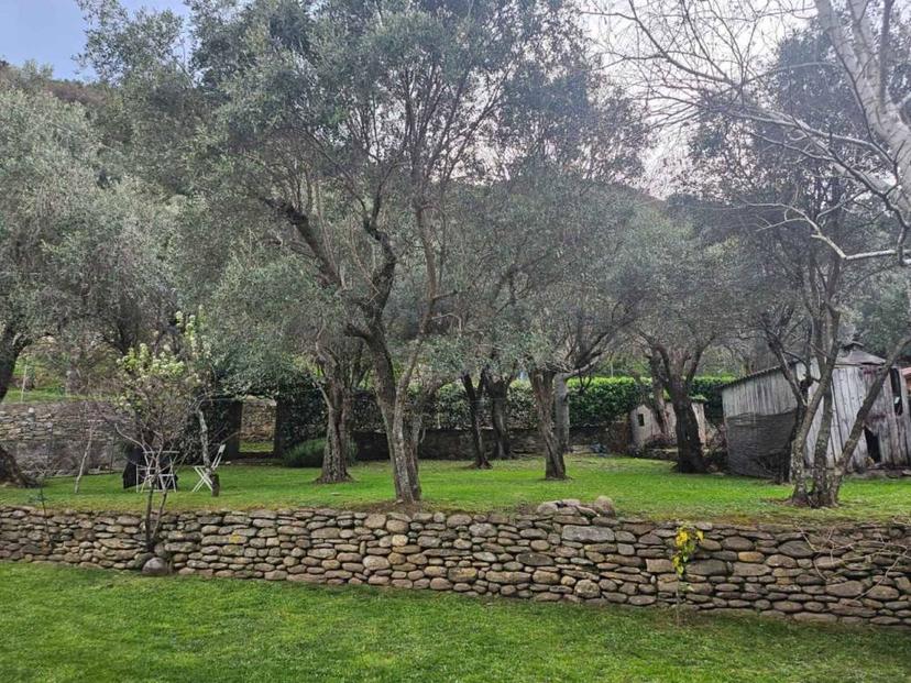 Vendita villa singola Seravezza (LU) — foto 4 di 7
