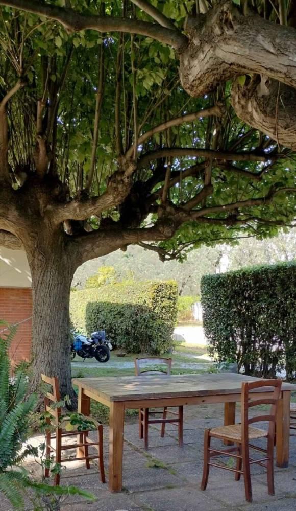 Vendita villa singola Seravezza (LU) — foto 2 di 7