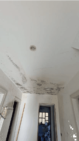Vendita rustico/casale Localita' Pianfrecioso 5 Giusvalla (SV)