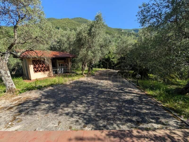 Vendita casa indipendente Camaiore (LU) — foto 4 di 14