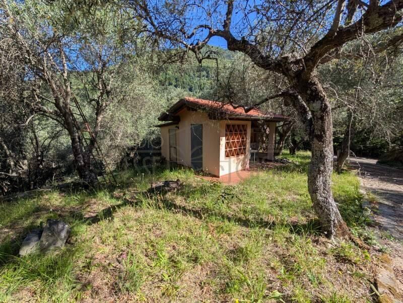 Vendita casa indipendente Camaiore (LU) — foto 2 di 14