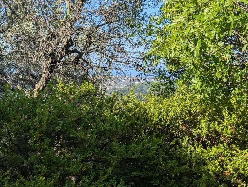 Vendita casa indipendente Camaiore (LU) — foto 9 di 14