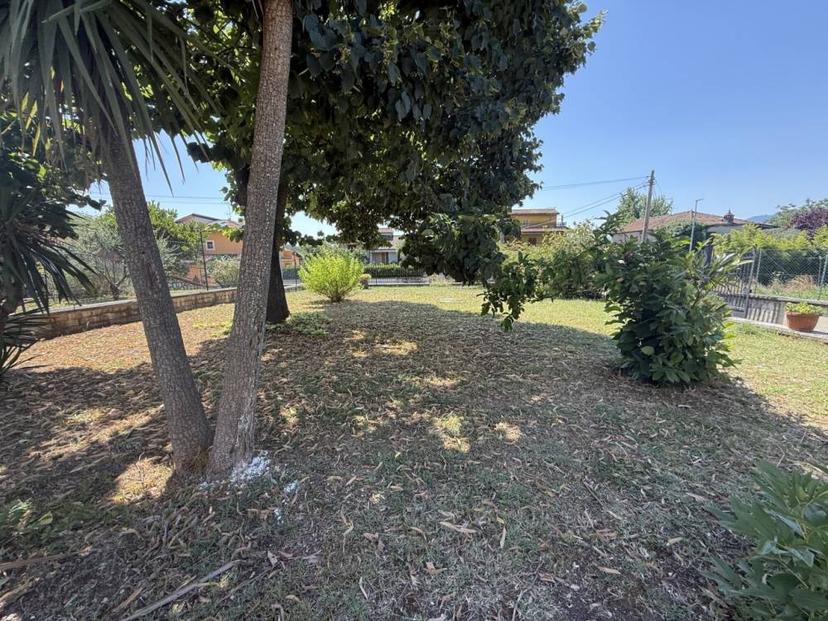 Vendita casa indipendente Ferentino (FR) — foto 6 di 14