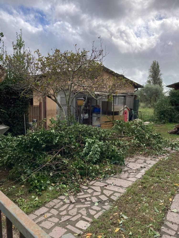 Vendita villa singola Pietrasanta (LU) — foto 3 di 4