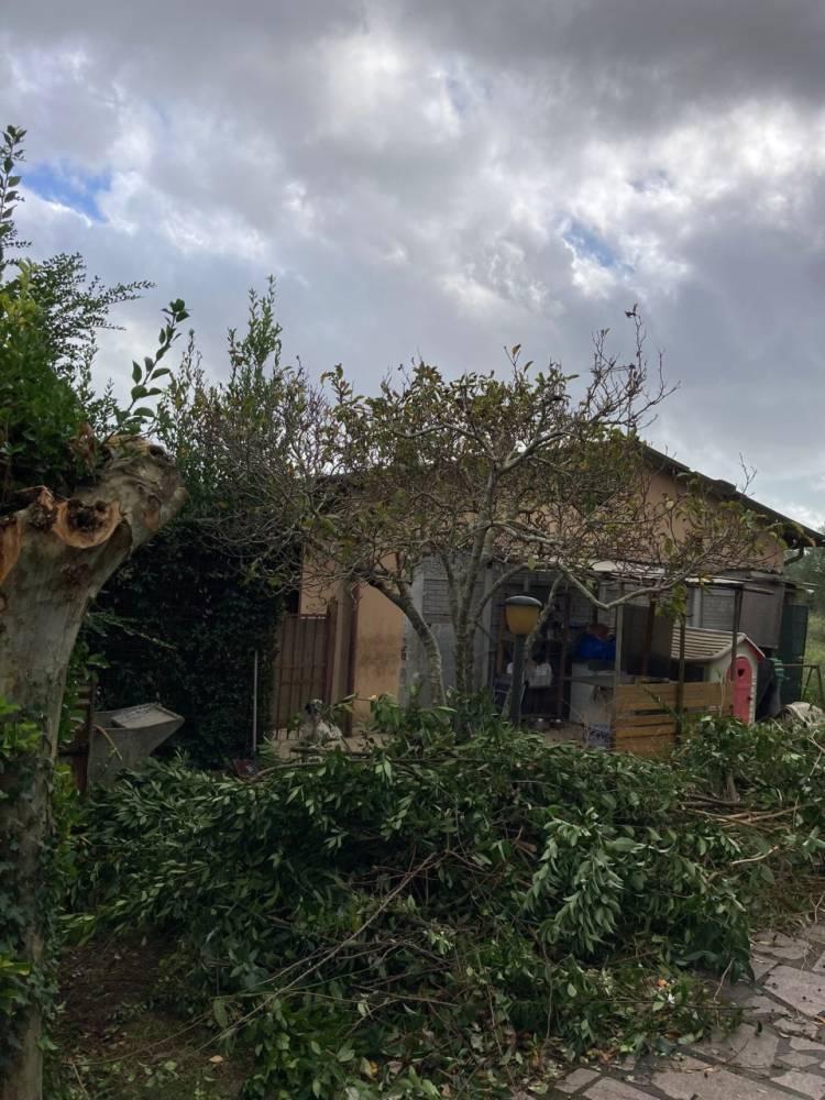 Vendita villa singola Pietrasanta (LU)