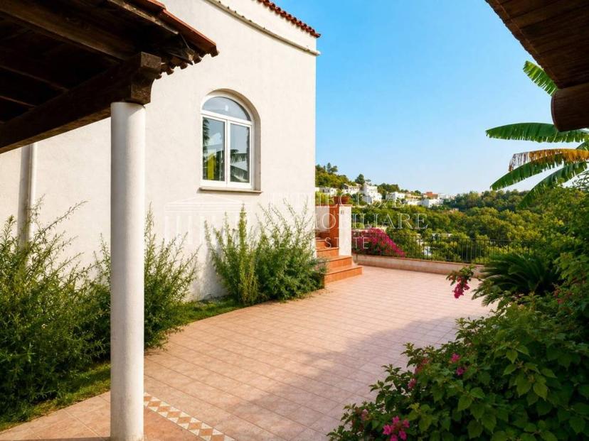 Vendita villa a schiera Via Casale Barano d'Ischia (NA) — foto 2 di 14